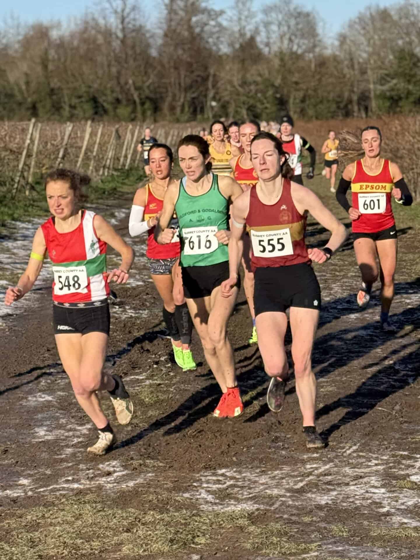 Featured image for Surrey XC Championships, Denbies, 4 January 2026